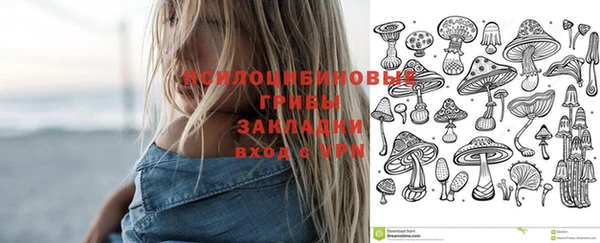 бошки Алзамай